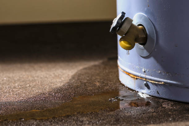 Water damage restoration experts in Webster, FL