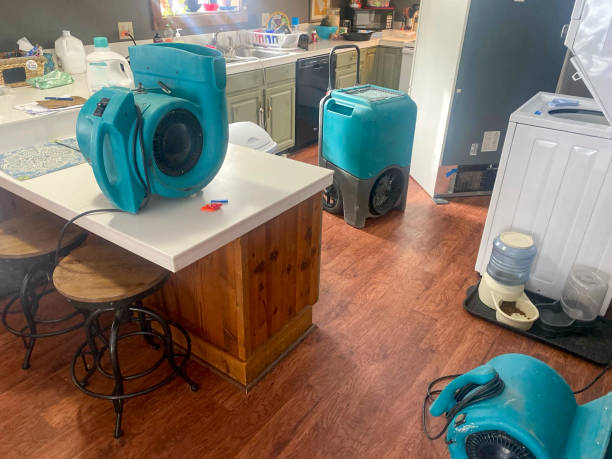 Best Water damage restoration cost  in Webster, FL