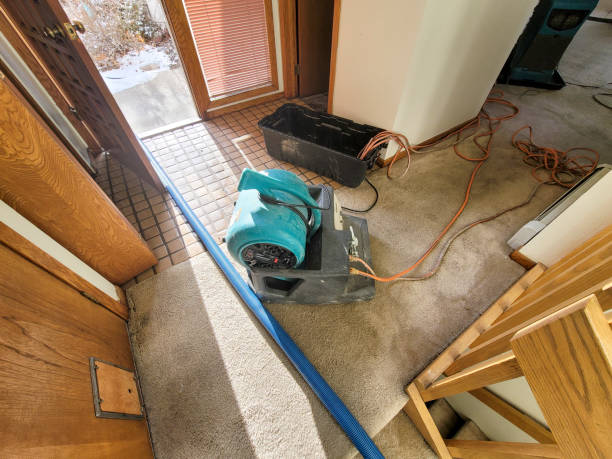 Best 24-hour water damage restoration  in Webster, FL