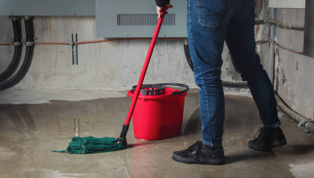 Best Flood damage cleanup  in Webster, FL