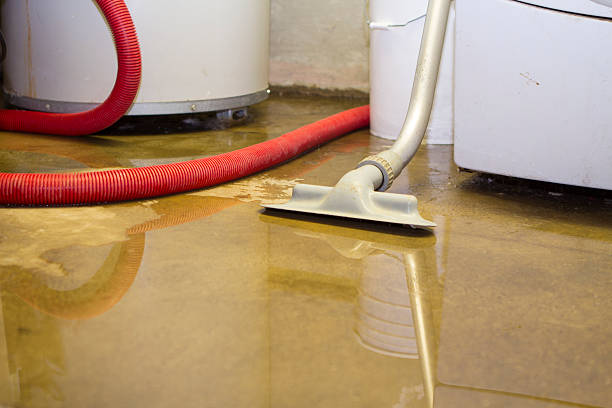 Best Flood restoration services  in Webster, FL
