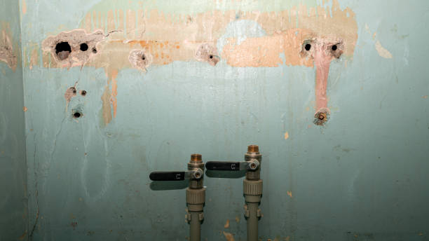 Trusted Webster, FL Water damage restoration Experts