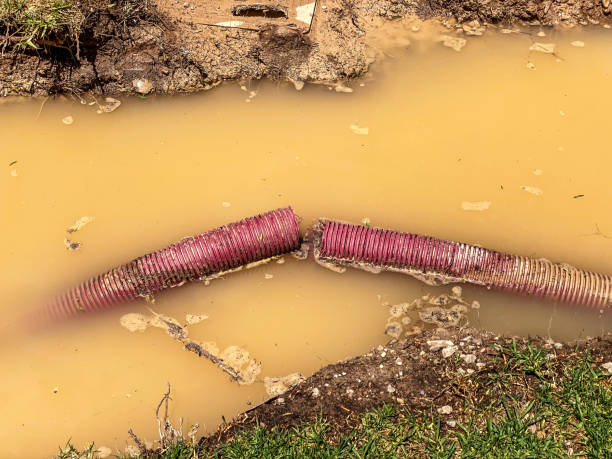 Water damage restoration insurance claims in Webster, FL