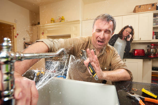 Best Water damage restoration near me  in Webster, FL